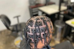 braids10