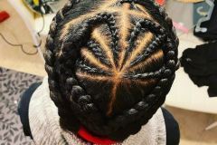 braids20